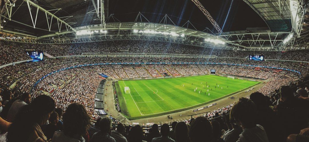 Football supporters watch a match from the stands